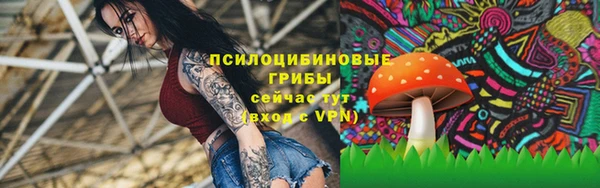гашиш Михайлов