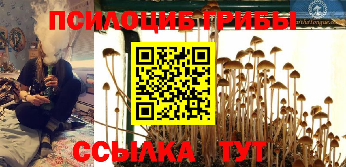 Псилоцибиновые грибы Cubensis  Вход с VPN  Пермь 